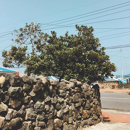 Shanti Shanti Guest House Jeju Ngoại thất bức ảnh